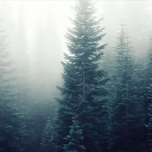 screen-shot-2017-01-05-at-8-44-10-am-color