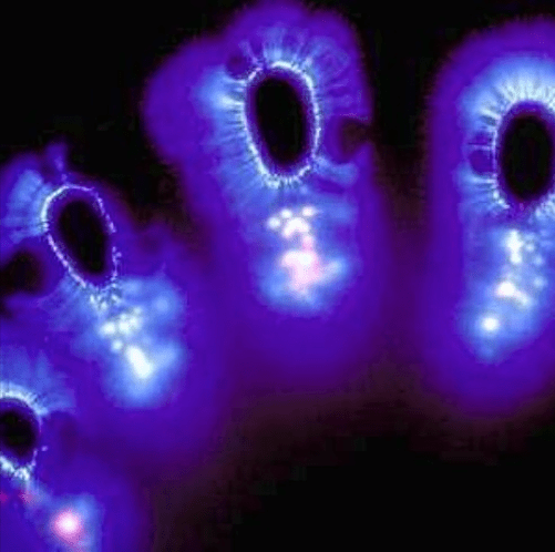 Screen Shot 2017-03-29 at 10.46.44 PM